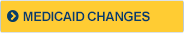 Medicaid Badge